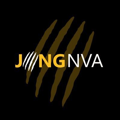 Jong N-VA is de grootste politieke jongerenorganisatie van Vlaanderen. Wij zijn voluit Vlaams, rechtvaardig rechts en ecorealistisch.