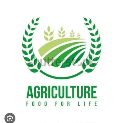 Dollarjha7374's profile picture. AGRONOMIST 
#farmer
#student 
#Agriculturist 
#congress