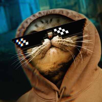 siyandanxele34's profile picture. I know a guy who knows a guy that know the guy