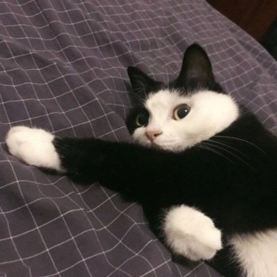 zhangtianze9's profile picture. 