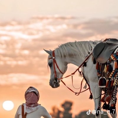 تهانينا لقد وجدتني .. بإمكانك تقبيل الشاشة الآن — اللهم اغفر لـ ابي وامي واخواني واجعل الجنة دارهم ومستقرهم 🚶🏻♂️🚶🏻♂️