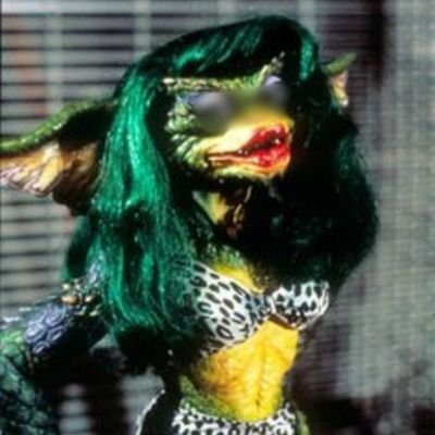 Anon FSSW and kink provider × Takatāpui Lesbian × Tainui × Addict × Random follows from non SWs are blocked ×