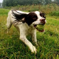 helen sandiford (@sandiford2406) 's Twitter Profile