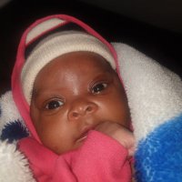 lion...layan (@aneyma6) 's Twitter Profile