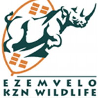 EZEMVELO KZNWildlife(@EZEMVELOKZNWild) 's Twitter Profile Photo
