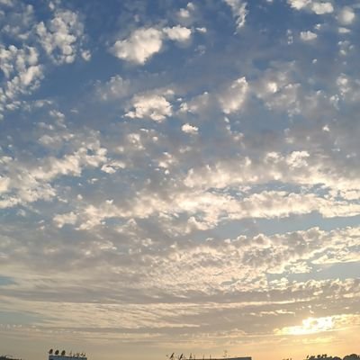 outputneo's profile picture. 