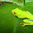 SensibleTourism's profile image