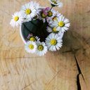 微密圈|点主页|嘉宾贴|快手|抖音|虎牙|斗鱼|微博|佳佳拖把| - @AdamGerald16418 - Twitter