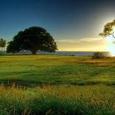 61stGes's profile picture. 