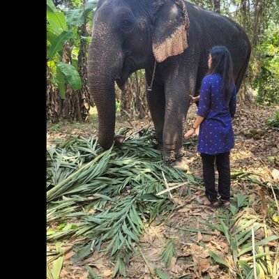 ഞാൻ മഴ.... ഫോളോ ബാക്ക് പ്രതീക്ഷിച്ച് ഫോളോ ചെയ്യരുത്....