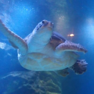 gT9iyfBMu4z8ZQn's profile picture. 