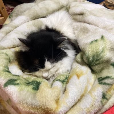 _trip_E's profile picture. 名市理院卒　9mmを聴けbot