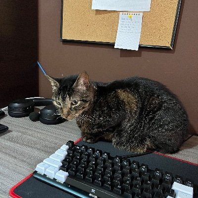 soukin13's profile picture. Juan
Flutter dev