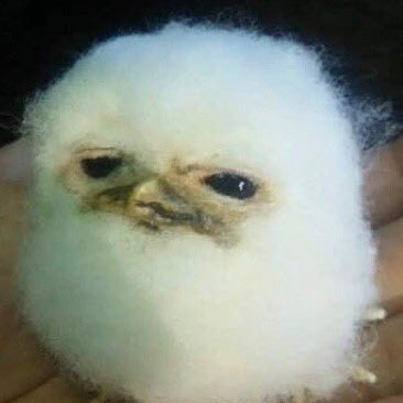 melonabana's profile picture. 잡덕