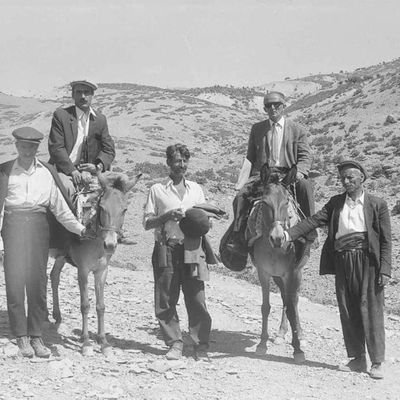 tiyatro_k's profile picture. Her roj, PeroPiya; ju qese Kırmanciye!..
  her dare qınte hora nas bena, meskıne dest cıde.