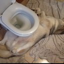 craig mackay - @craigm86 - Twitter