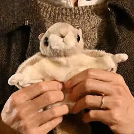 西島さん中心|トムクル作品履修中|Hannigram|20↑|無言フォロー失礼致します🙇♀️|腐内容は🗝(@borden1906)