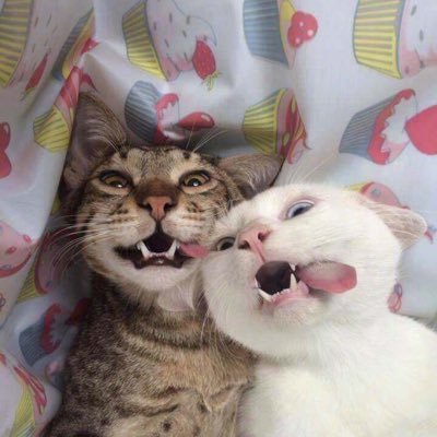 AnassinMic52780's profile picture. 