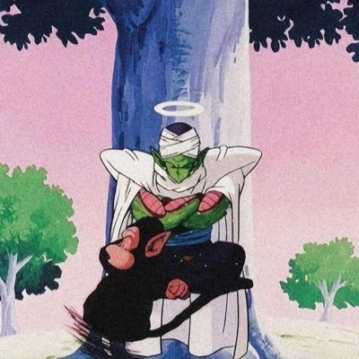 picoolopr's profile picture. 