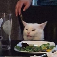 Burcu. (@literallyburcu) 's Twitter Profile