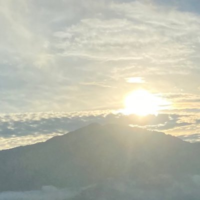 mani1381008's profile picture. loveable boy