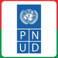 Le PNUD au Burkina Faso 🇧🇫(@PNUD_BFA) 's Twitter Profile Photo