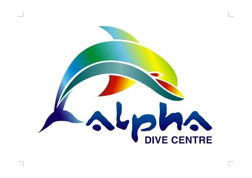 AlphaDiveCentre's profile picture. Enjoy a crazy kelp dive or rock with us on a wreck, shore dive with sharks or salsa with the seals... the ocean is your oyster at Alpha Dive Centre