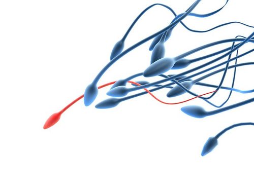 nuskuconsulting's profile picture. Hands-on business development solutions for medical professionals looking to access the medical tourism sector.