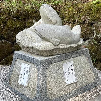 企画運営担当。旅行と温泉と酒。企画運営担当募集中。