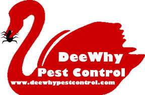 Dee Why Pest control are your trusted Northern Beaches pest control service. With over 25 years experience right here on the Northern Beaches of Sydney.