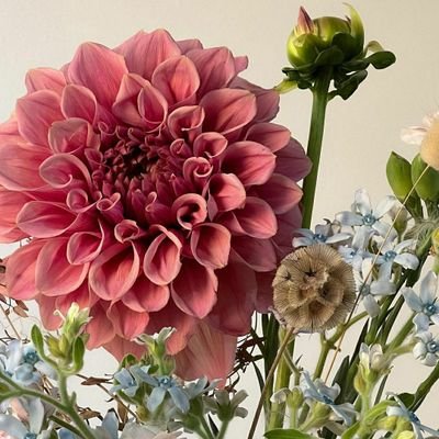 ReginaJ50039402's profile picture. 