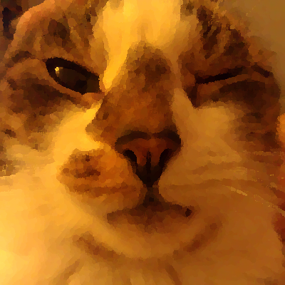 kot_o_pies's profile picture. Obserwator rzeczy dziwnych i ulotnych