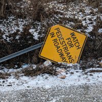 Cincinnati Pedestrian & Bicyclist Crashes (@cincycrashdata) 's Twitter Profile