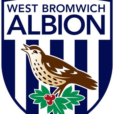 WBA fan