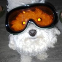 DDanuXD (@ddanuxd) 's Twitter Profile