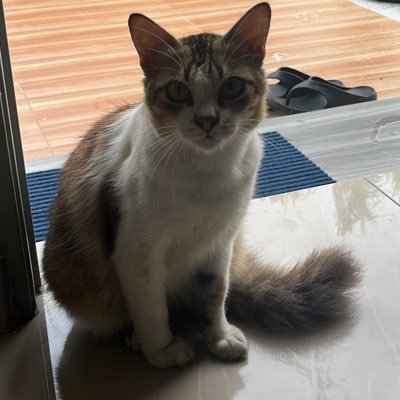 nrrfiza's profile picture. | "Never lose hope, because it is the key to achieve all your dreams."