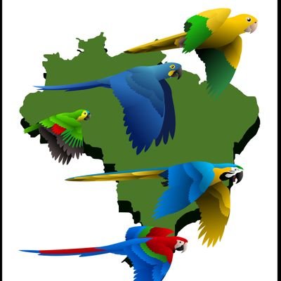 Passarinhólogo, taxidermista, ilustrador científico, graduando em Ciências Biológicas UFMG. Divulgação científica sobre as aves do Brasil.
@leo_marujo no insta