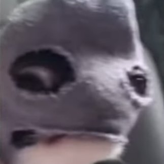 Nuxzy Profile