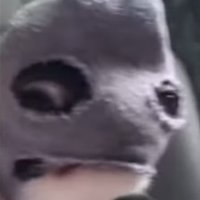 Nuxzy (@nuxzy101) 's Twitter Profile