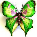 Deepali Joshi - @DeepaliJoshia1 - Twitter