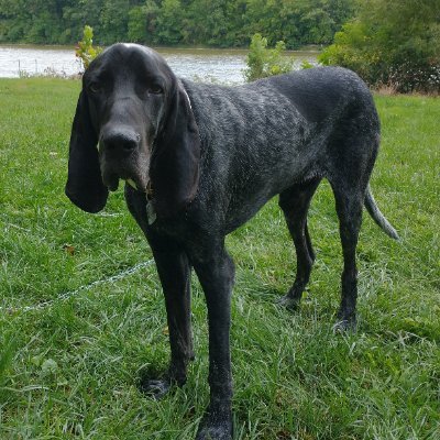 manohills's profile picture. Proud Navy Veteran and
Trump supporter!
MAGA 🇺🇸🚴‍♂️