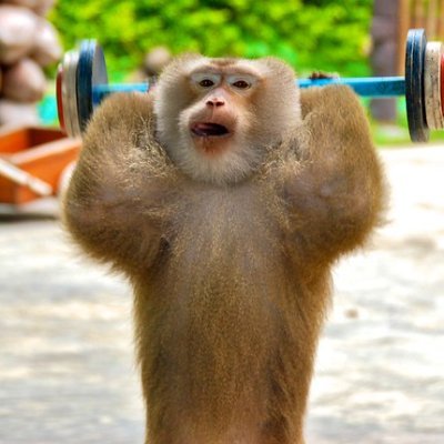 Just a Monkey with a GYM from the #Solana money I made last bull.