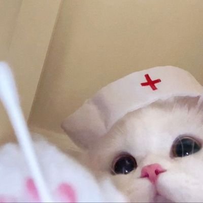 bi_studys's profile picture. 05 | farma federal 💊