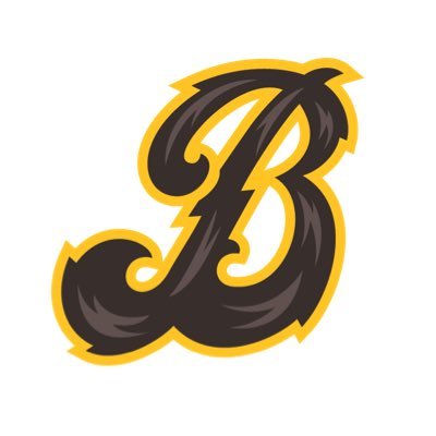 BisonBaseballSD Profile Picture