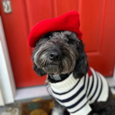 hallka01's profile picture. UW Element Coach 💜💛 Dog Mom