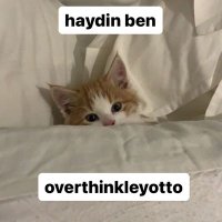 Betül (@btlsnd) 's Twitter Profile Photo