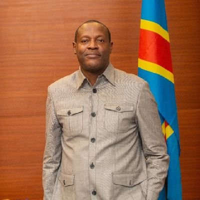 General Manager TARGET Sarl (Research and Consulting), ESOMAR Representative DR Congo, Vice-Président Commission PME /FEC, Administrateur UN Global Compact RDC