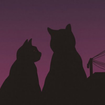 _csfnM's profile picture. 