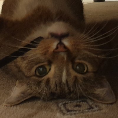 Qbit05539203's profile picture. Science. Ecology. Economy. Democracy. Advanced technologies. That's what makes me tick.