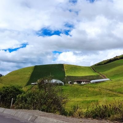 Patrici18053856's profile picture. siempre a favor del pueblo campesino, humilde y trabajadores.